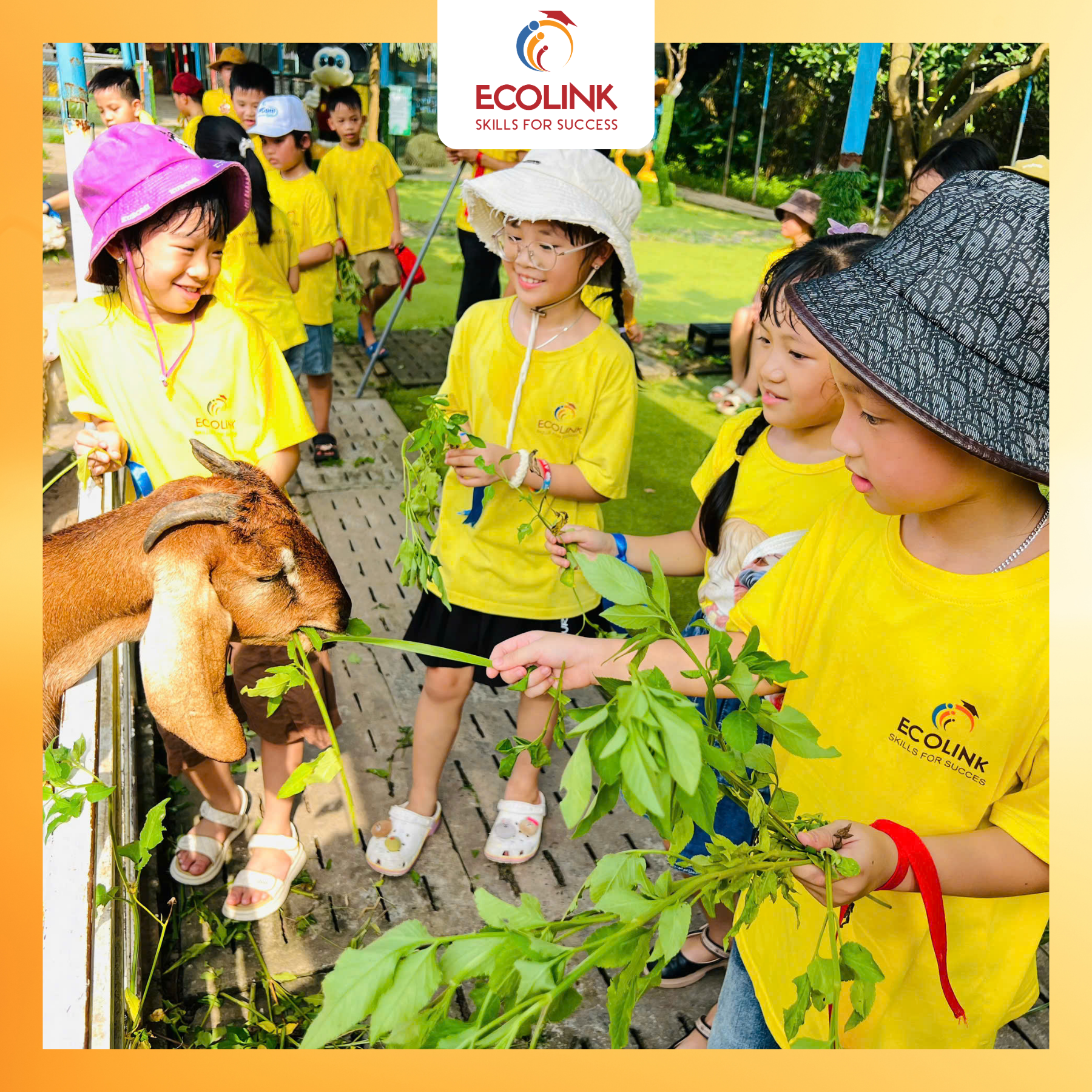 Trai-nghiem-thuc-te-ecolink-3